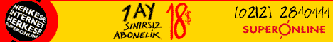 sonlinerek.gif (5532 bytes)